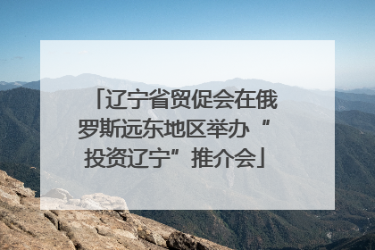 辽宁省贸促会在俄罗斯远东地区举办“投资辽宁”推介会