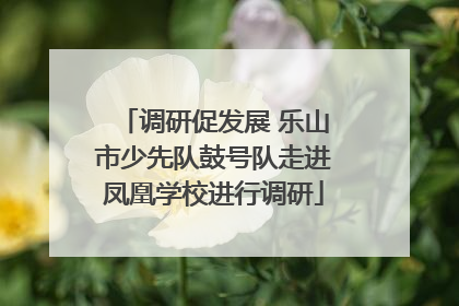 调研促发展 乐山市少先队鼓号队走进凤凰学校进行调研