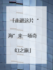 走进这片“海”来一场奇幻之旅