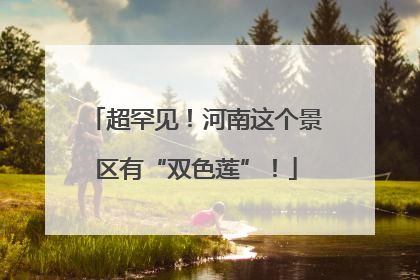 超罕见！河南这个景区有“双色莲”！