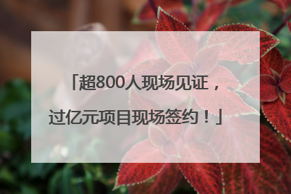 超800人现场见证，过亿元项目现场签约！