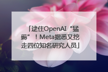逮住OpenAI“猛薅”！Meta据悉又挖走四位知名研究人员