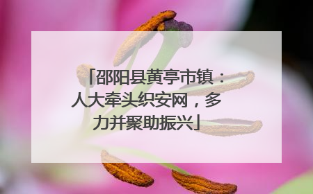 邵阳县黄亭市镇：人大牵头织安网，多力并聚助振兴