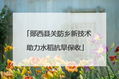 郧西县关防乡新技术助力水稻抗旱保收