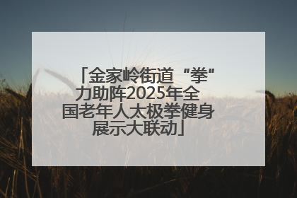 金家岭街道“拳”力助阵2025年全国老年人太极拳健身展示大联动