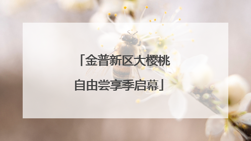 金普新区大樱桃自由尝享季启幕
