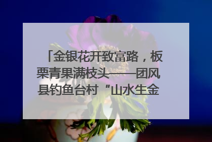 金银花开致富路，板栗青果满枝头——团风县钓鱼台村“山水生金”谱写共富新篇章