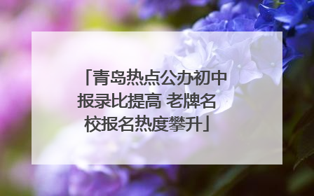 青岛热点公办初中报录比提高 老牌名校报名热度攀升
