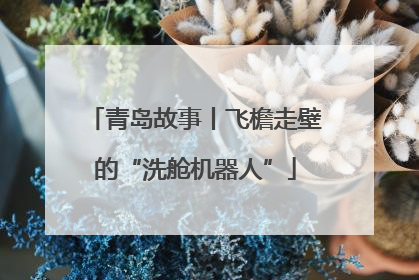 青岛故事丨飞檐走壁的“洗舱机器人”