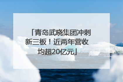青岛武晓集团冲刺新三板！近两年营收均超20亿元