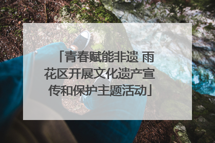 青春赋能非遗 雨花区开展文化遗产宣传和保护主题活动