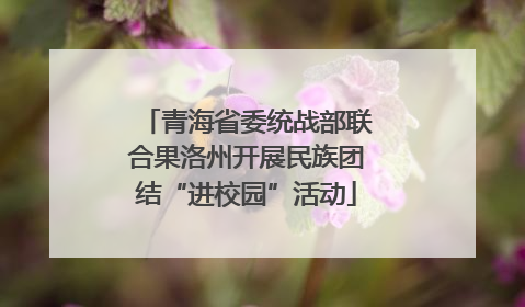 青海省委统战部联合果洛州开展民族团结“进校园”活动