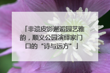 非遗皮影邂逅园艺雅韵，顺义公园演绎家门口的“诗与远方”
