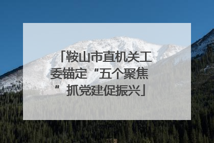 鞍山市直机关工委锚定“五个聚焦”抓党建促振兴