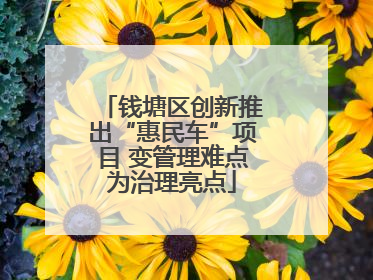 钱塘区创新推出“惠民车”项目 变管理难点为治理亮点