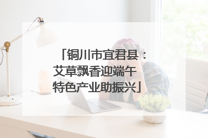 铜川市宜君县：艾草飘香迎端午 特色产业助振兴