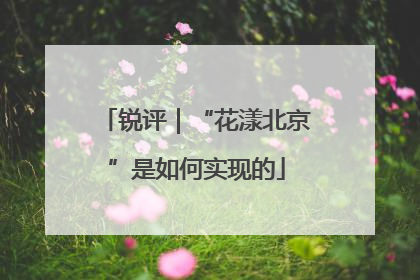 锐评｜“花漾北京”是如何实现的