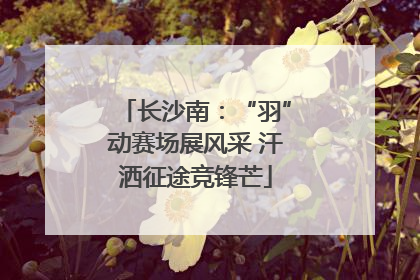 长沙南：“羽”动赛场展风采 汗洒征途竞锋芒
