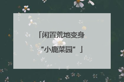 闲置荒地变身“小鹿菜园”