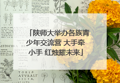 陕师大举办各族青少年交流营 大手牵小手 红烛耀未来