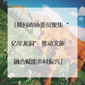 隆回政协委员聚焦“亿年龙洞” 推动文旅融合赋能乡村振兴