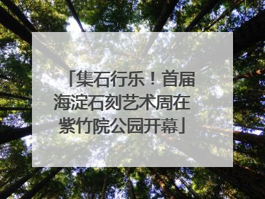 集石行乐！首届海淀石刻艺术周在紫竹院公园开幕