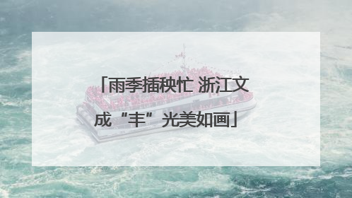 雨季插秧忙 浙江文成“丰”光美如画