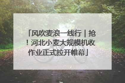风吹麦浪一线行｜抢！河北小麦大规模机收作业正式拉开帷幕