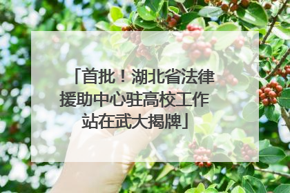 首批！湖北省法律援助中心驻高校工作站在武大揭牌