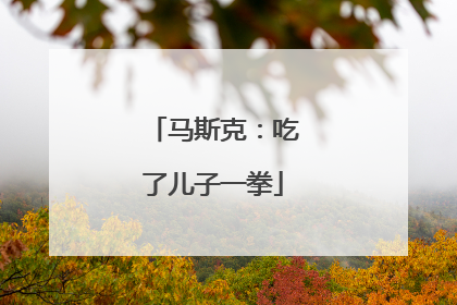马斯克：吃了儿子一拳