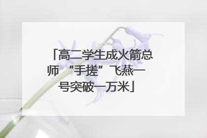 高二学生成火箭总师 “手搓”飞燕一号突破一万米