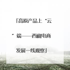 高原产品上“云”端——西藏电商发展一线观察
