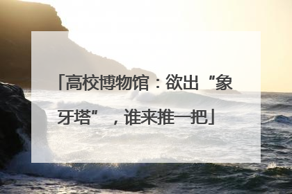 高校博物馆：欲出“象牙塔”，谁来推一把