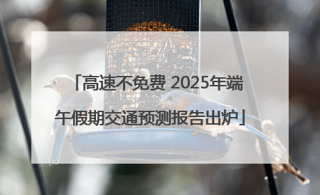 高速不免费 2025年端午假期交通预测报告出炉