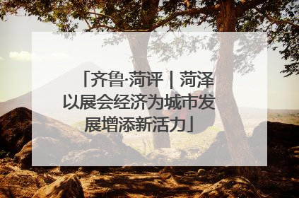 齐鲁·菏评｜菏泽以展会经济为城市发展增添新活力