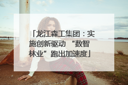 龙江森工集团：实施创新驱动 “数智林业”跑出加速度