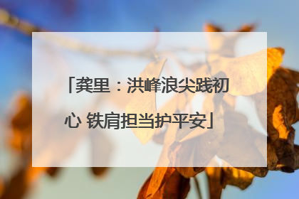 龚里：洪峰浪尖践初心 铁肩担当护平安