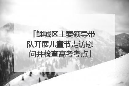 鲤城区主要领导带队开展儿童节走访慰问并检查高考考点