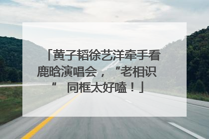 黄子韬徐艺洋牵手看鹿晗演唱会，“老相识” 同框太好嗑！