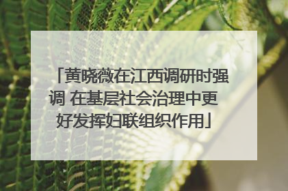黄晓薇在江西调研时强调 在基层社会治理中更好发挥妇联组织作用