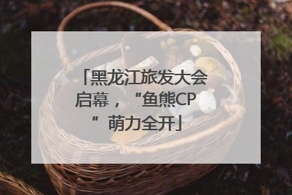 黑龙江旅发大会启幕，“鱼熊CP”萌力全开