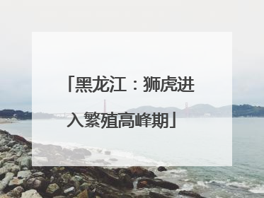 黑龙江：狮虎进入繁殖高峰期