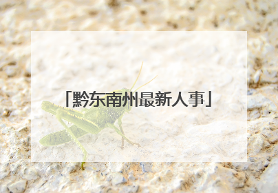黔东南州最新人事