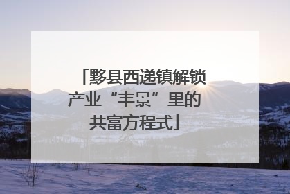 黟县西递镇解锁产业“丰景”里的共富方程式