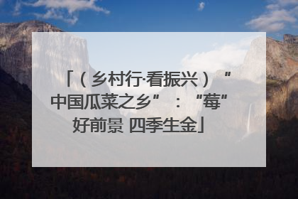 （乡村行·看振兴）“中国瓜菜之乡”：“莓”好前景 四季生金