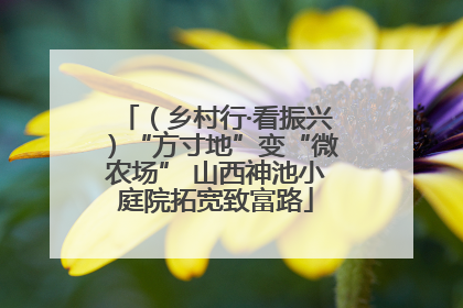 （乡村行·看振兴）“方寸地”变“微农场” 山西神池小庭院拓宽致富路