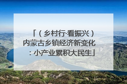 （乡村行·看振兴）内蒙古乡镇经济新变化：小产业累积大民生