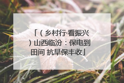 （乡村行·看振兴）山西临汾：保电到田间 抗旱保丰收