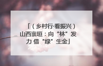 （乡村行·看振兴）山西襄垣：向“林”发力 借“绿”生金