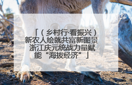 （乡村行·看振兴）新农人绘就共富新图景 浙江庆元统战力量赋能“海拔经济”